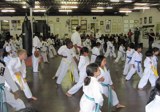 saids karate 602